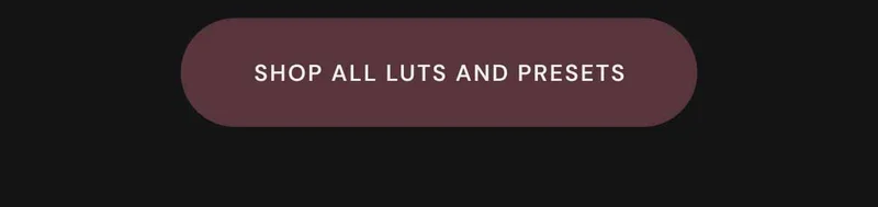Shop All Luts and Presets