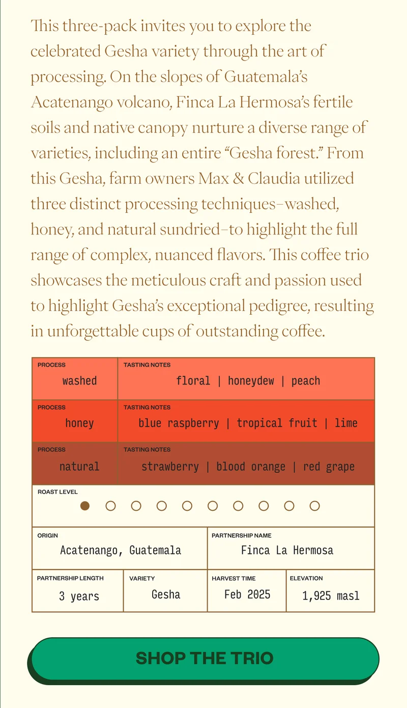 This three-pack invites you to explore the celebrated Gesha variety through the art of processing. On the slopes of Guatemala’s Acatenango volcano, Finca La Hermosa’s fertile soils and native canopy nurture a diverse range of varieties, including an entire “Gesha forest.” From this Gesha, farm owners Max & Claudia utilized three distinct processing techniques–washed, honey, and natural sundried–to highlight the full range of complex, nuanced flavors. This coffee trio showcases the meticulous craft and passion used to highlight Gesha’s exceptional pedigree, resulting in unforgettable cups of outstanding coffee.Finca La Hermosa Gesha Washed Tasting notes: floral | honeydew | peach Finca La Hermosa Gesha Honey Tasting notes: blue raspberry | tropical fruit | lime Finca La Hermosa Gesha Natural Tasting notes: strawberry | blood orange | red grape Shop The Trio This three-pack invites you to explore the celebrated Gesha variety through the art of processing. On the slopes of Guatemala’s Acatenango volcano, Finca La Hermosa’s fertile soils and native canopy nurture a diverse range of varieties, including an entire “Gesha forest.” From this Gesha, farm owners Max & Claudia utilized three distinct processing techniques–washed, honey, and natural sundried–to highlight the full range of complex, nuanced flavors. This coffee trio showcases the meticulous craft and passion used to highlight Gesha’s exceptional pedigree, resulting in unforgettable cups of outstanding coffee.Finca La Hermosa Gesha Washed Tasting notes: floral | honeydew | peach Finca La Hermosa Gesha Honey Tasting notes: blue raspberry | tropical fruit | lime Finca La Hermosa Gesha Natural Tasting notes: strawberry | blood orange | red grape Shop The Trio