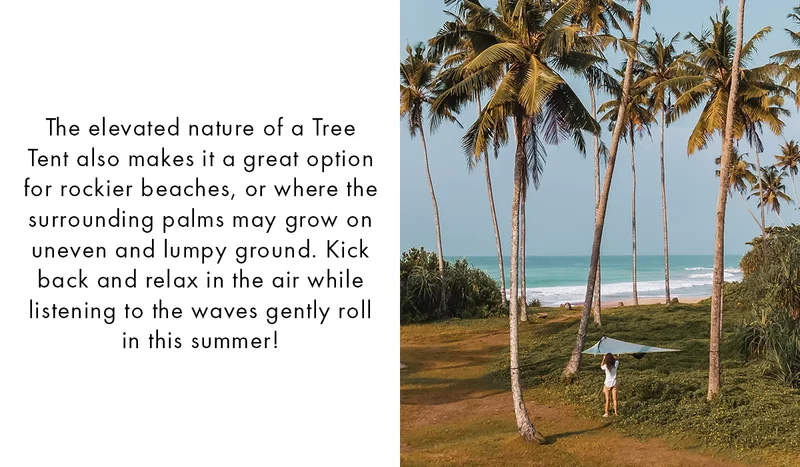 Tree Tents