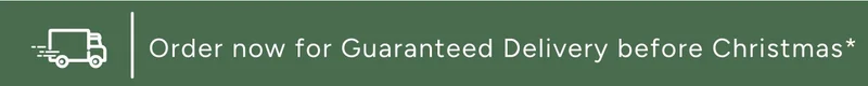 Christmas Delivery Banner