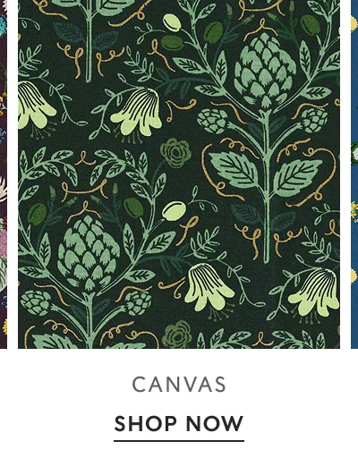 Shop Canvas
