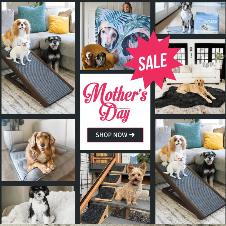 Pet Moms Day Pet Moms Day