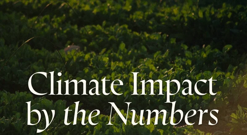 Climate Impact By The Numbers