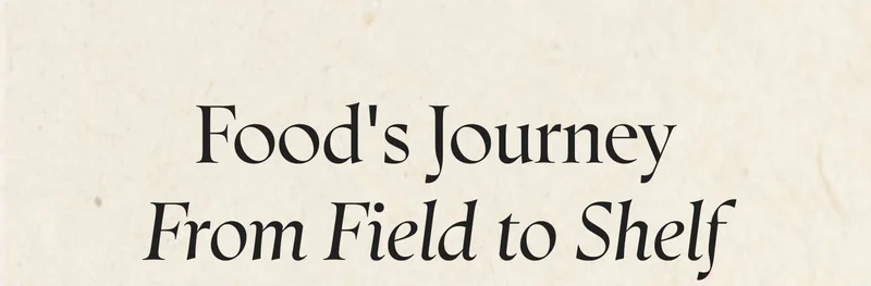 Food's Journey From Field to Shelf