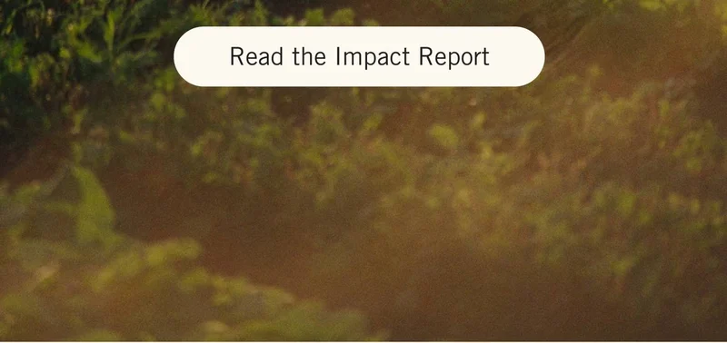 READ THE IMPACT REPORT