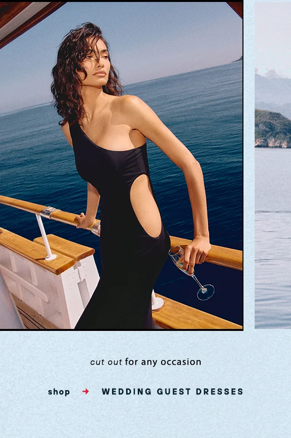 shop Wedding Guest Dresses