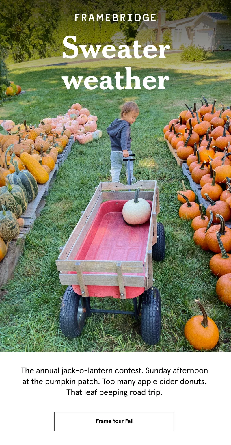 The annual jack-o-lantern contest. Sunday afternoon at the pumpkin patch. Too many apple cider donuts. That leaf peeping road trip. Frame your fall.