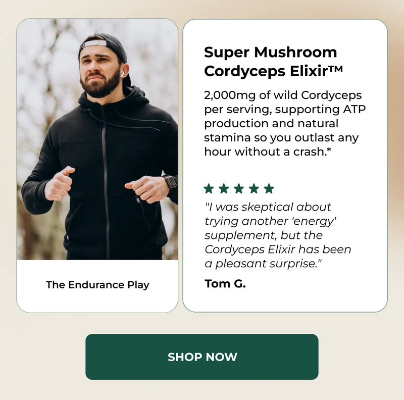 super mushroom cordyceps elixir