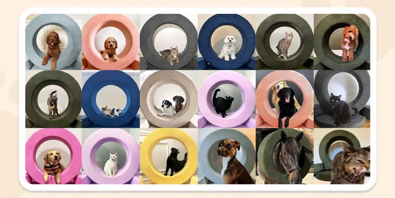 18 photos of Nugget HQ's best fur friends, featuring dogs, cats, bunnies, and even a horse, inside their Chunk Hoop.