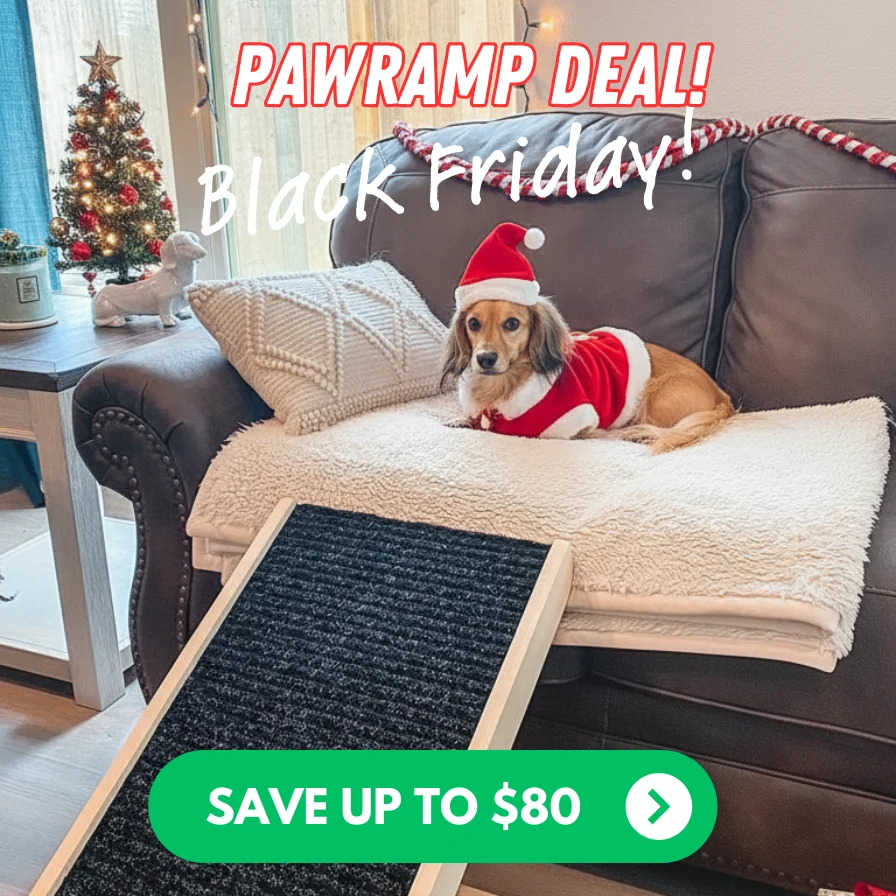 Pawramp