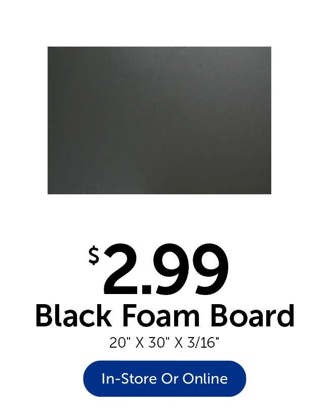 $2.99 Black Foam Board