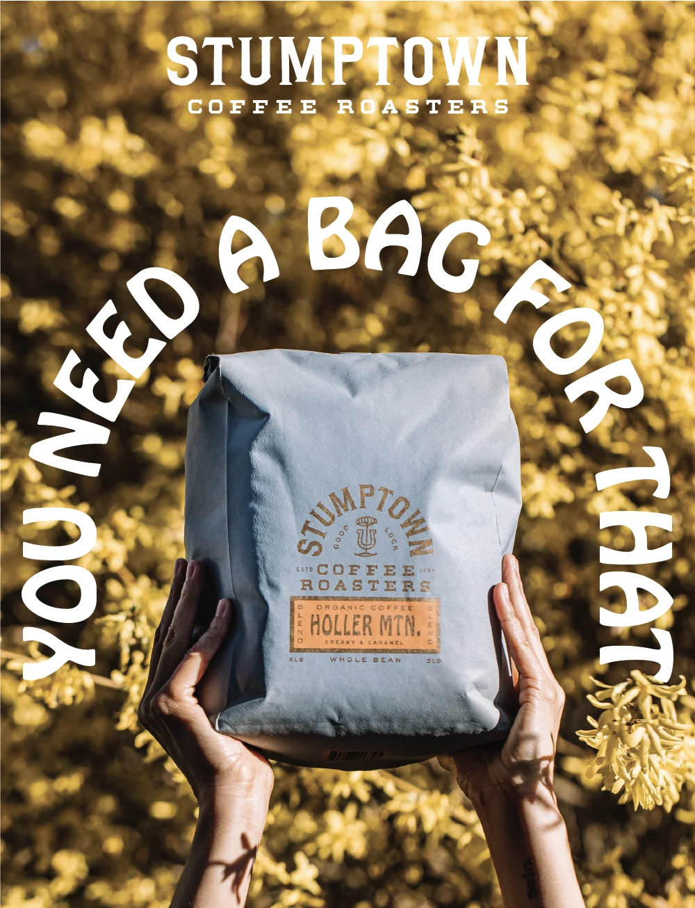 You Need A Bag For That: 5lb Bags of Stumptown Coffee