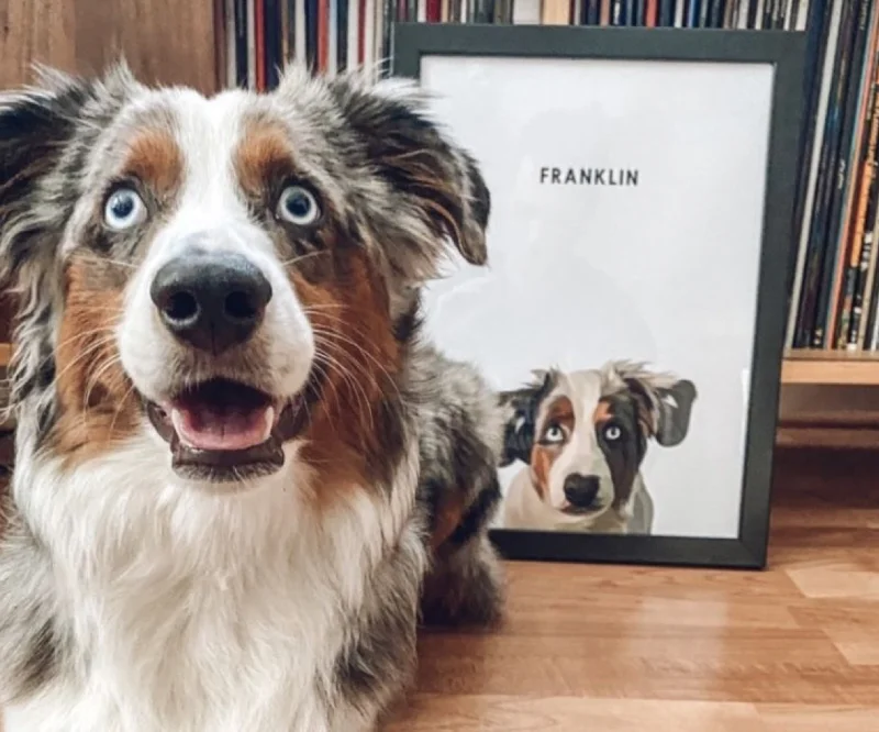 What makes a great photo?
