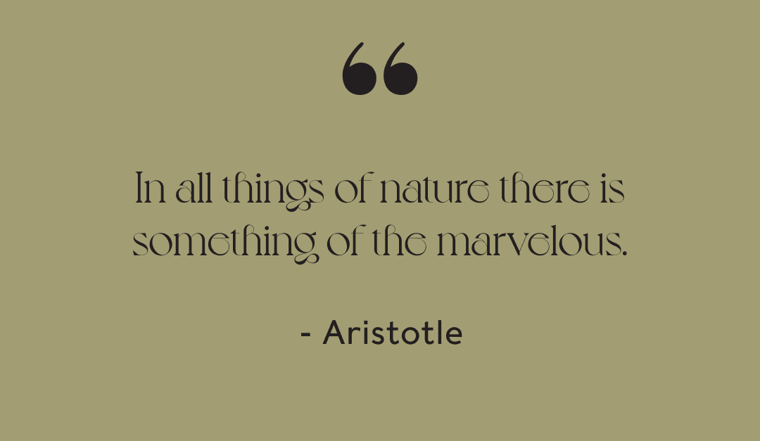In all things of nature there is something of the marvelous. - Aristotle