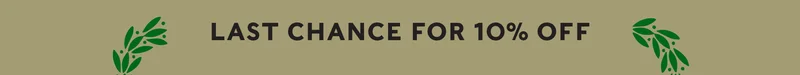 LAST CHANCE FOR 10% OFF