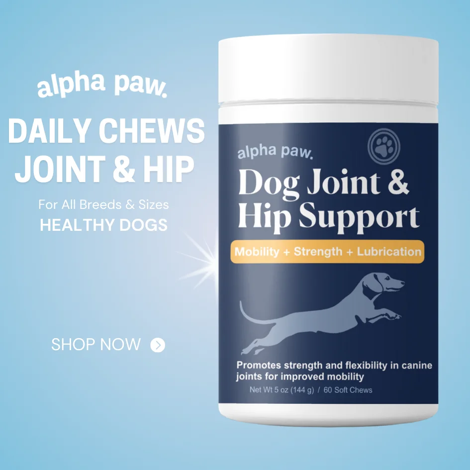 New Joint and Hip Support Chews
