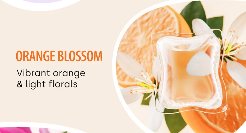 Orange Blossom. Vibrant orange & light florals.