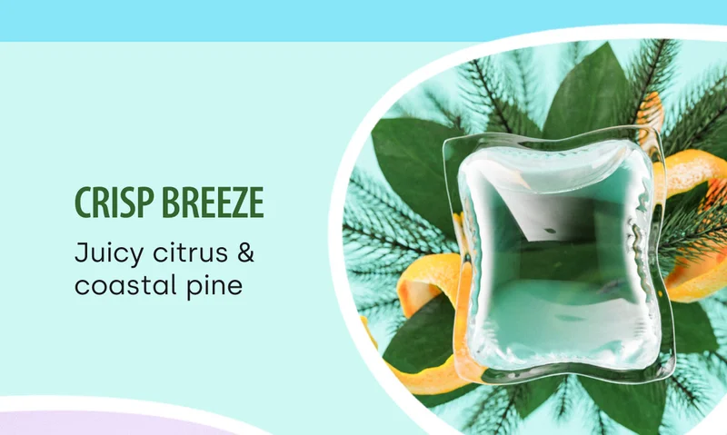 Crisp Breeze. Juicy citrus & coastal pine.