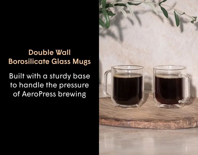 Double Wall Borosilicate Glass Mugs