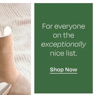 Shop Now Button - Image