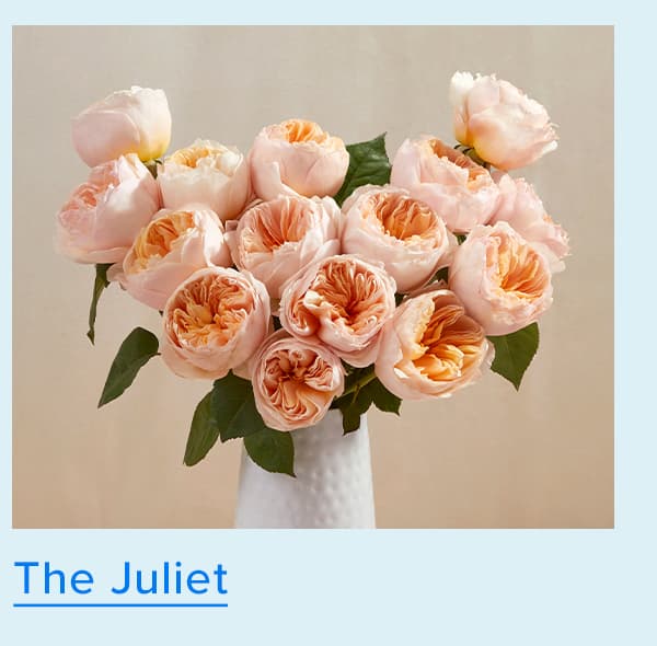 The Juliet Bouq