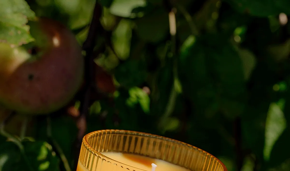 When life gives you apples, turn them into a delicious, non-toxic candle. Shop Half Baked Apple Cider Smash. ↗