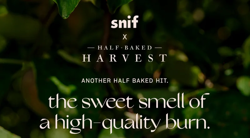 When life gives you apples, turn them into a delicious, non-toxic candle. Shop Half Baked Apple Cider Smash. ↗