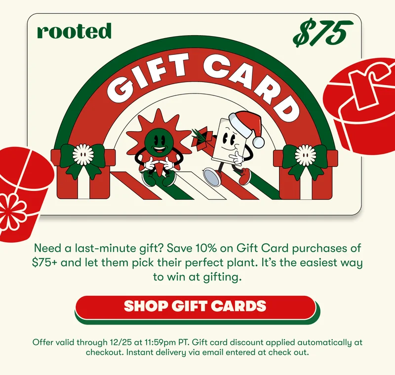 Need a last-minute gift? Save 10% on Gift Card purchases of $75+ and let them pick their perfect plant. It’s the easiest way to win at gifting. [SHOP GIFT CARDS] Offer valid through 12/25 at 11:59pm PT. Gift card discount applied automatically at checkout. Instant delivery via email entered at check out.