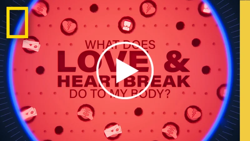 Love has powerful effects over your body—and so does heartbreak