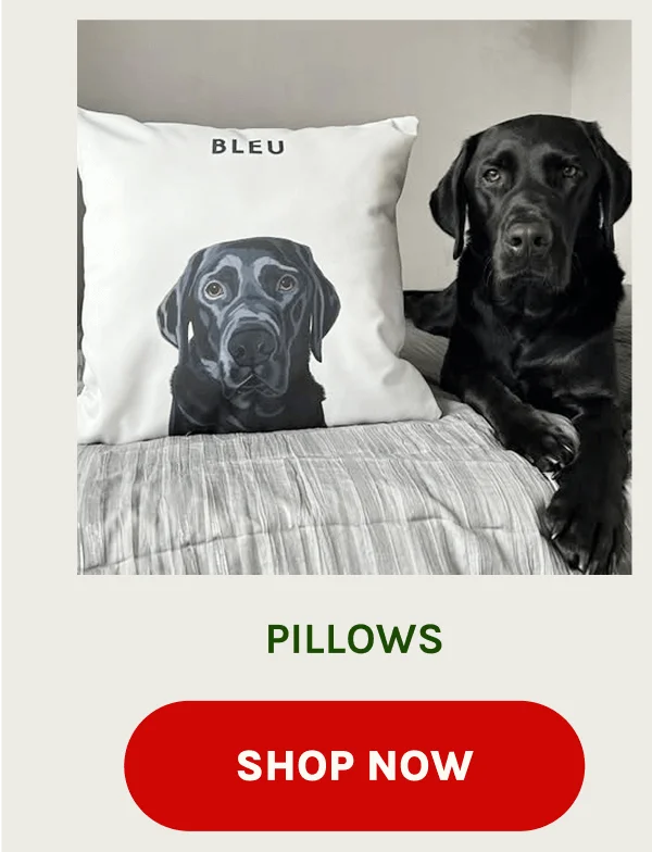 Shop Pillows