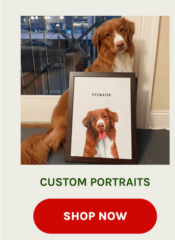 Shop Portraits