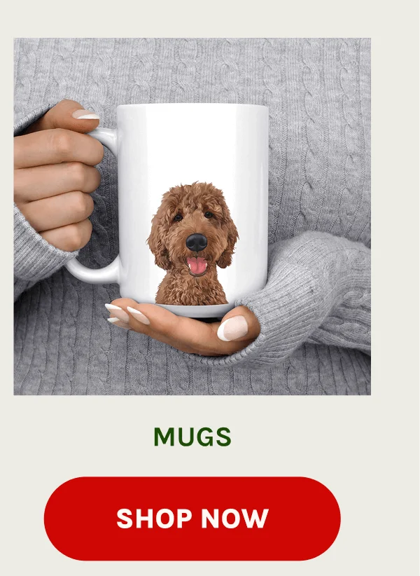 Shop Mugs