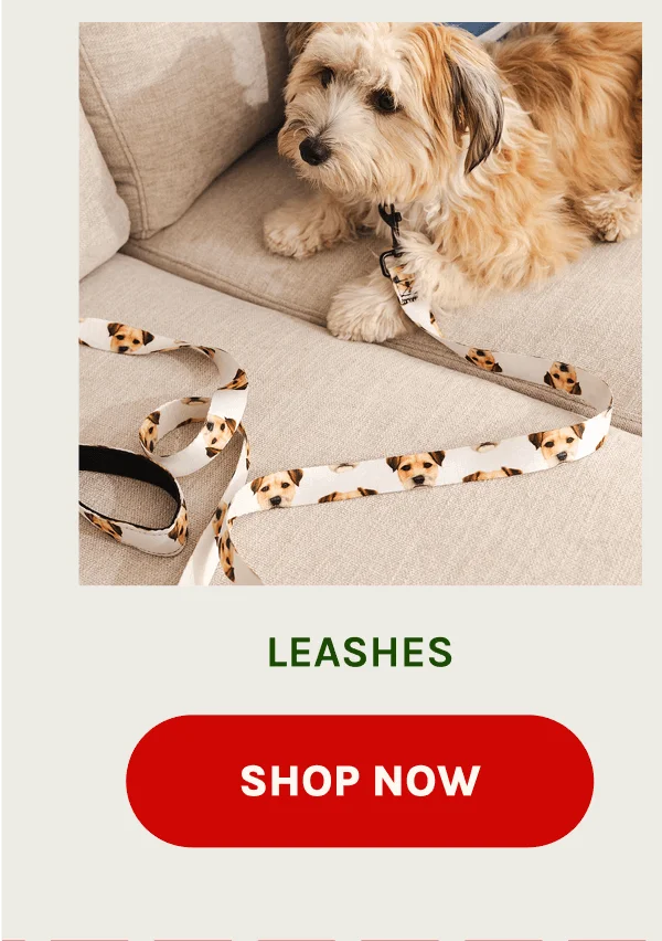 Shop Leashes