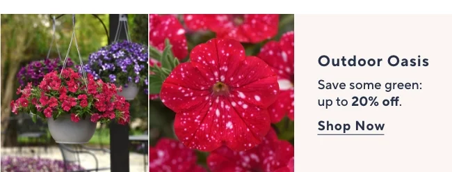 Love Your Garden