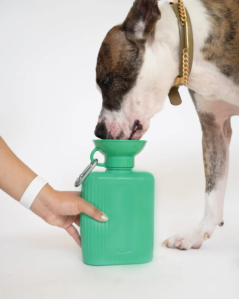 Image of Growler Dog Travel Bottle