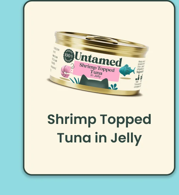 Shrimp Topped tune in jelly