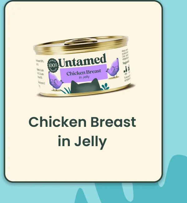 Chicken breast in Jelly