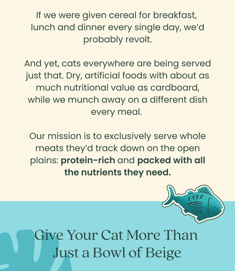 Give your cat more than just a bowl of beige