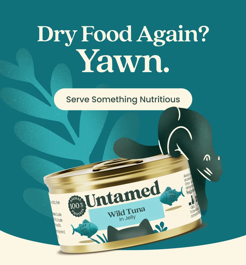 Dry Food Again? Yawn.