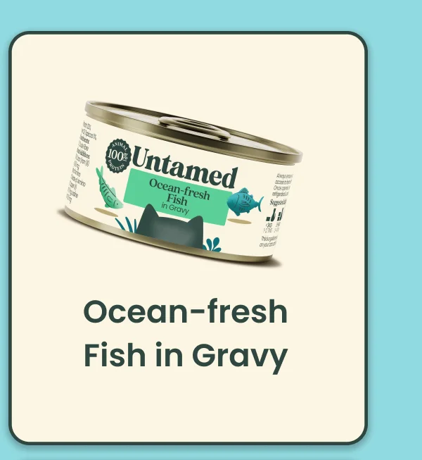 Ocean-fresh Fish in Gravy