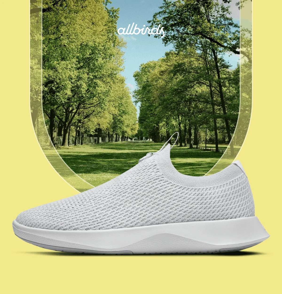 Allbirds White Sneakers