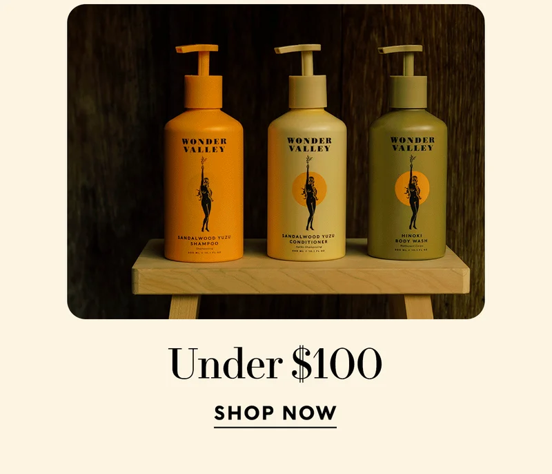 UNDER $100    SHOP NOW