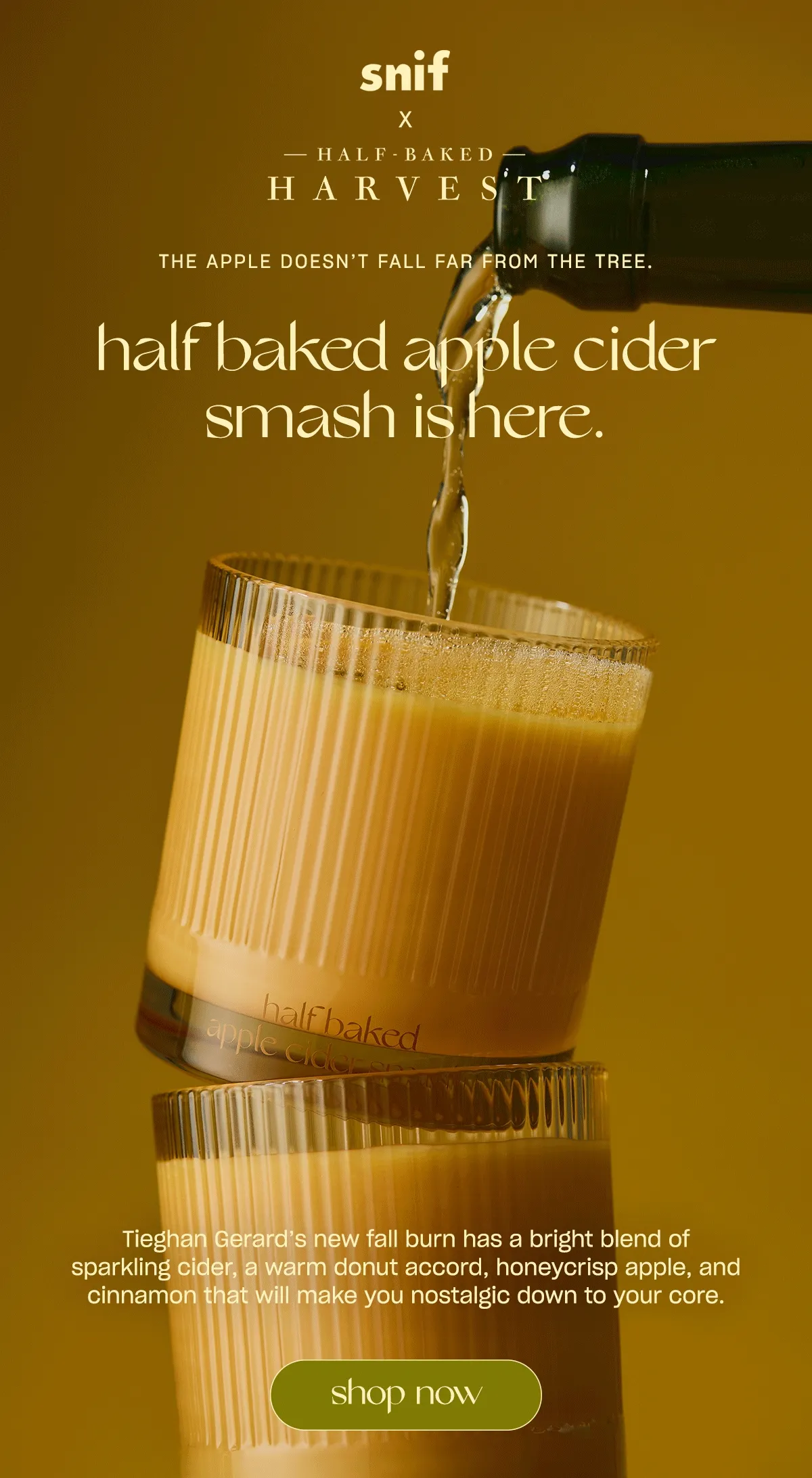 Tieghan Gerard’s new fall burn has a bright blend of sparkling cider, a warm donut accord, honeycrisp apple, and cinnamon that will make you nostalgic down to your core.