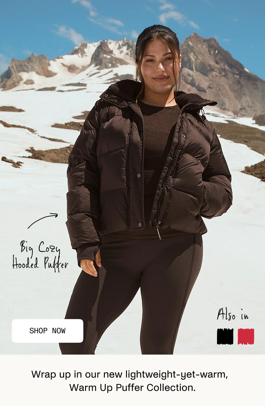 Big Cozy Hooded Puffer Jacket in Dark Chocolate