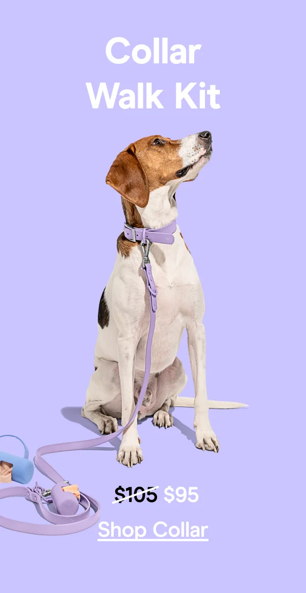 Shop Collar Walk Kit