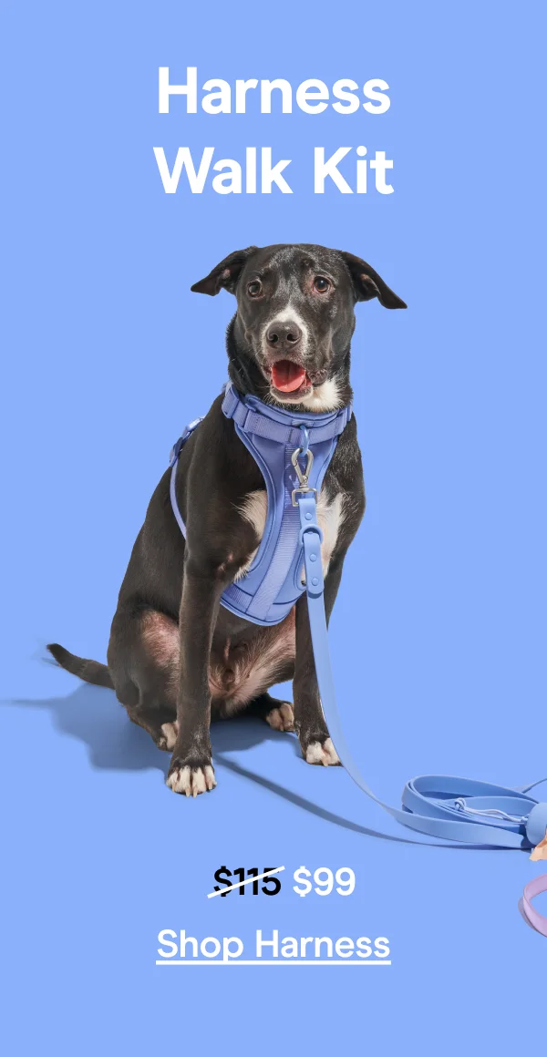 Shop Harness