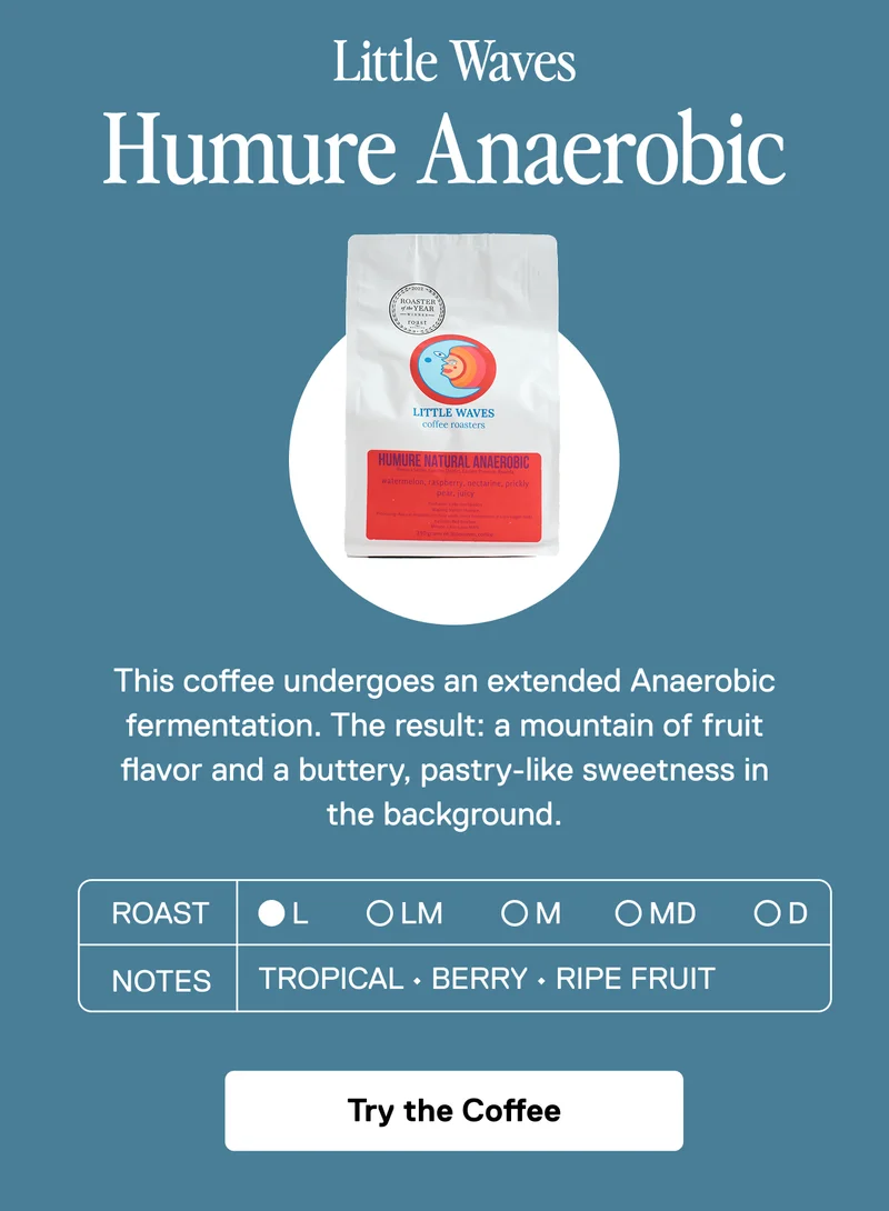 Little Waves Humure Anaerobic
