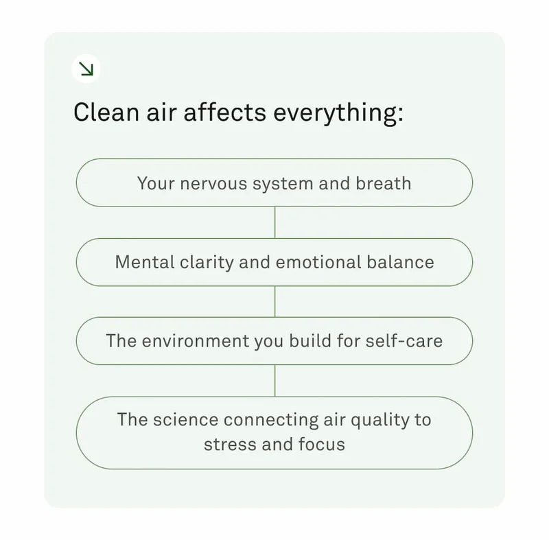 Clean air affects everything
