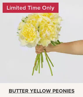 Flowers At a Great Price