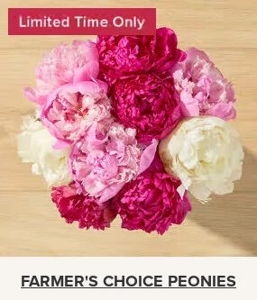 Flowers At a Great Price